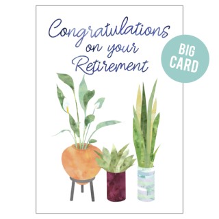 BC168 Retirement Plants
